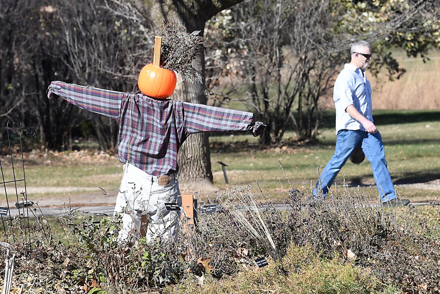 Scarecrows 2